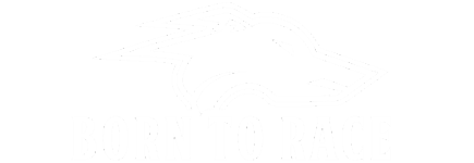 Logo BTR